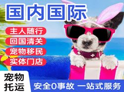 运城张孝航空快运国际宠物托运 【国
